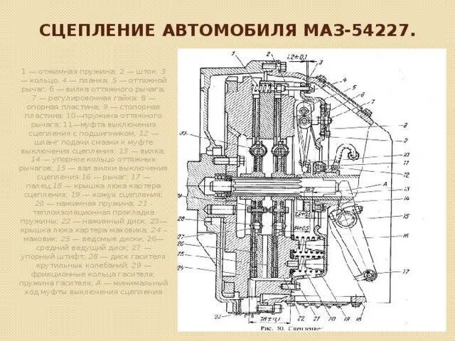 Сцепления автомобиля урал. Регулировка корзины сцепления МАЗ 236 двухдисковое. Сцепление ЯМЗ 238 двухдисковое. Сцепление МАЗ ЯМЗ 236. Схема сцепления ЯМЗ 236.