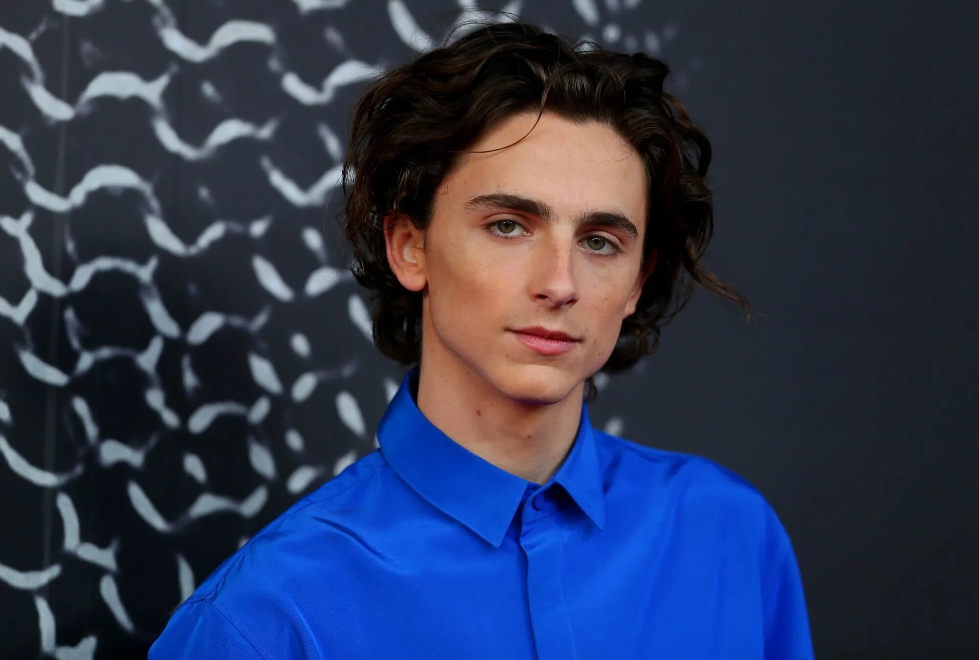 Шаломе тимати. Тимоти шаламе. Тимоти шаламе 2022. Тимоти шаломе сколько лет. Регулус блэк тимоти шаломе.