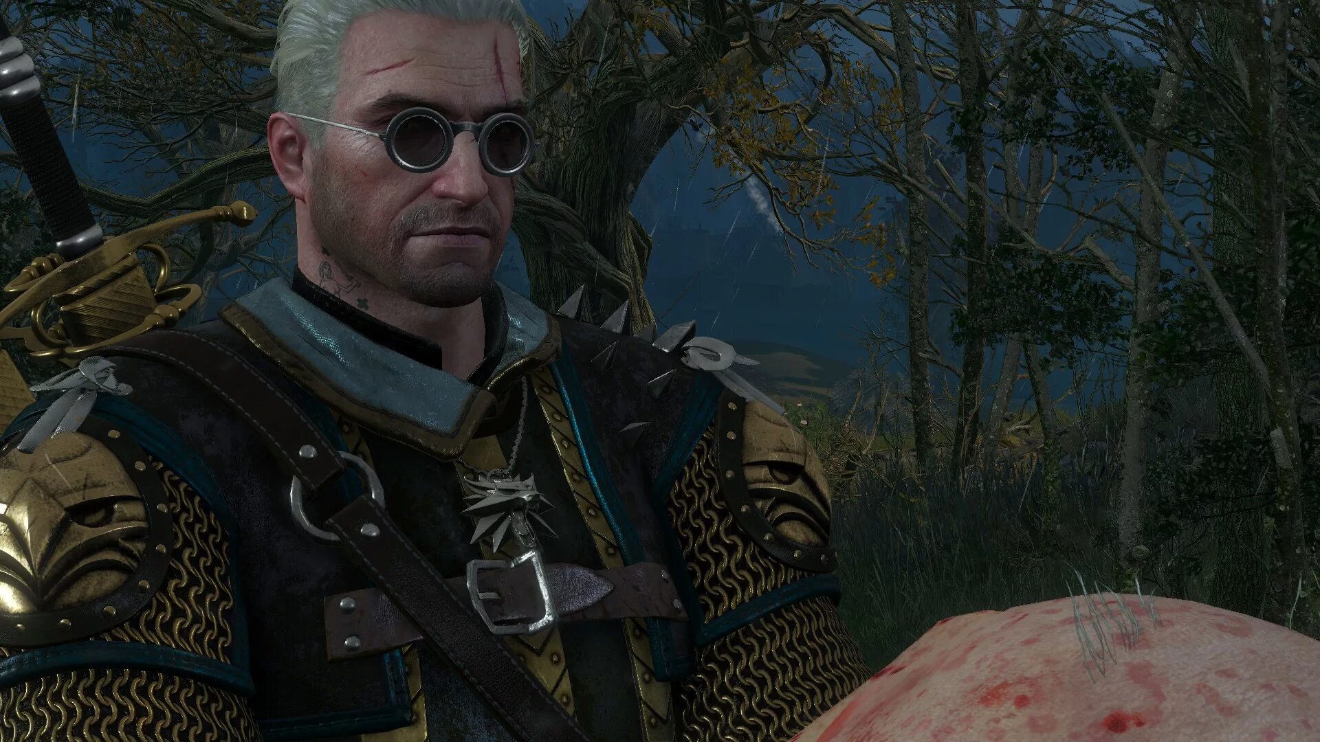 Ведьмак очки профессора. Очки профессора ведьмак 3. смешной ведьмак. ведьмак смешные скриншоты. ржачный ведьмак.