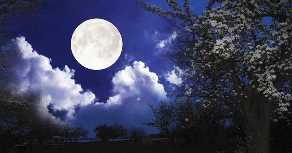 Полная луна. Луна фон. Ноябрьская луна. Луна на небе. Последнее полнолуние года.