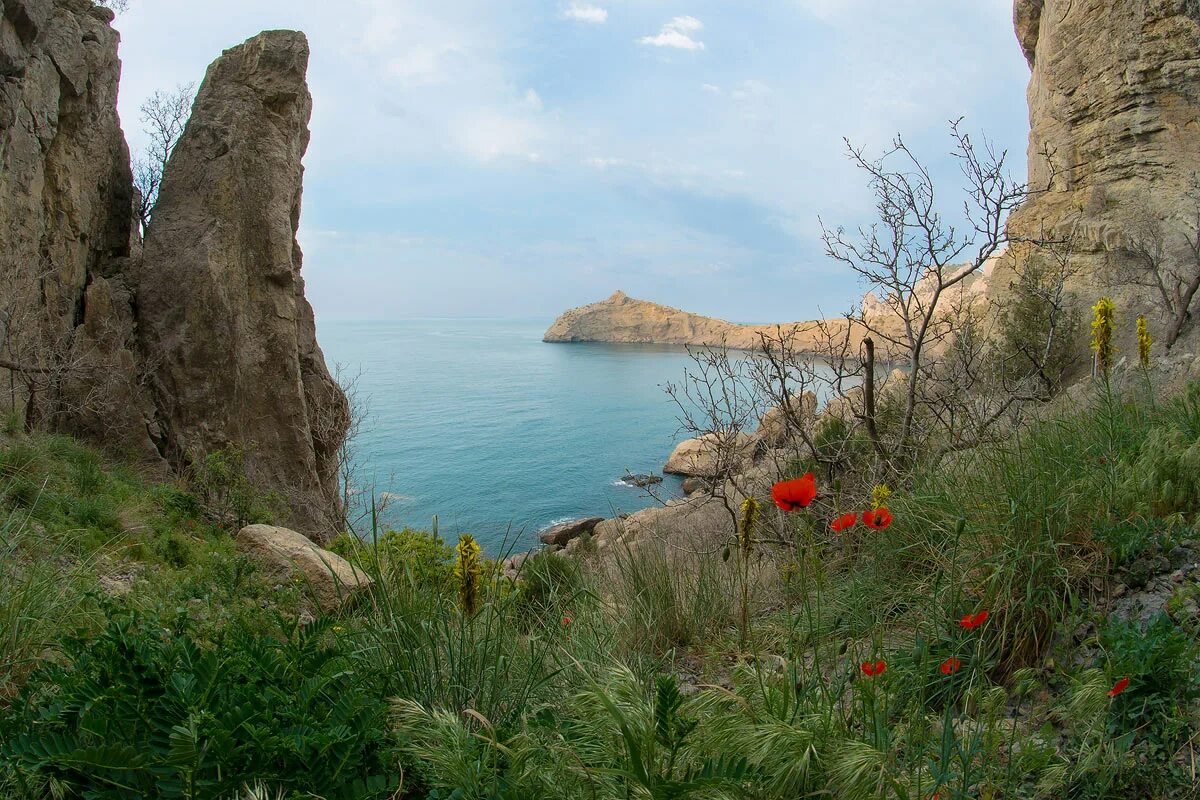 Видео 2014 года в крыму. Крым Коктебель Орджоникидзе Солнечная Долина. Поленов Крым Карадаг. Карадаг тропа.