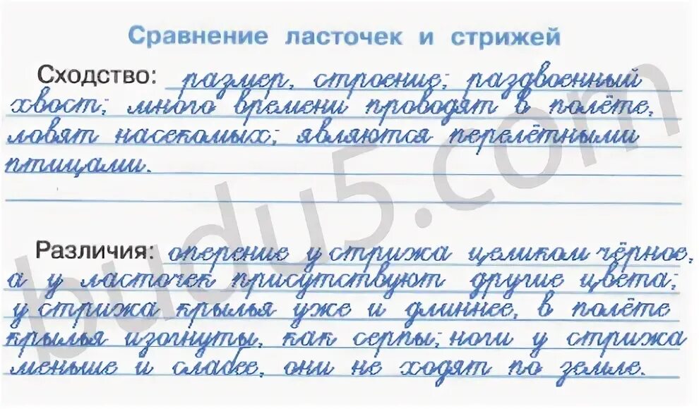 Найдите ошибку в утверждении. Найдите ошибку в утверждении
