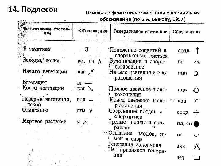 Какие методы использует фенология. Фенологические фазы растений (по в. в. Алехину, 1938). Основные фенофазы растений. Фенологические фазы растений. Фенологические фазы растений таблица.