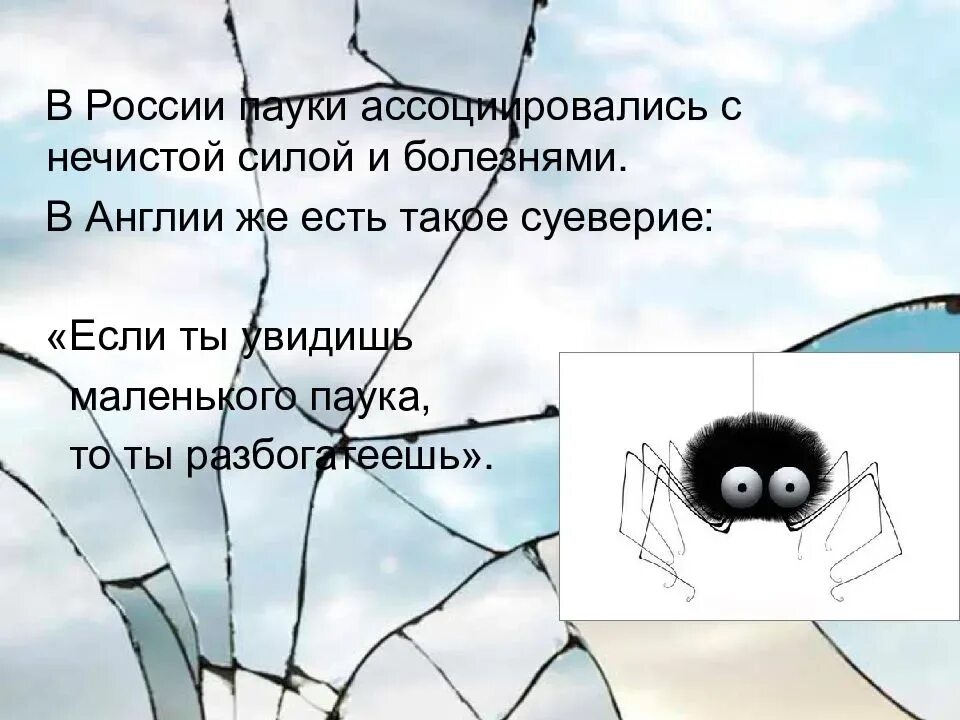 Увидеть дома паука примета. Паук примета. Паучок примета. Приметы паукообразных. Приметы про пауков.