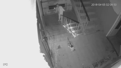 Видео писающих в подъезде