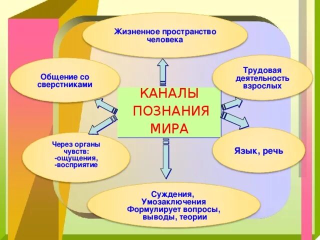 Познание 6 класс. Человек познает мир Обществознание.