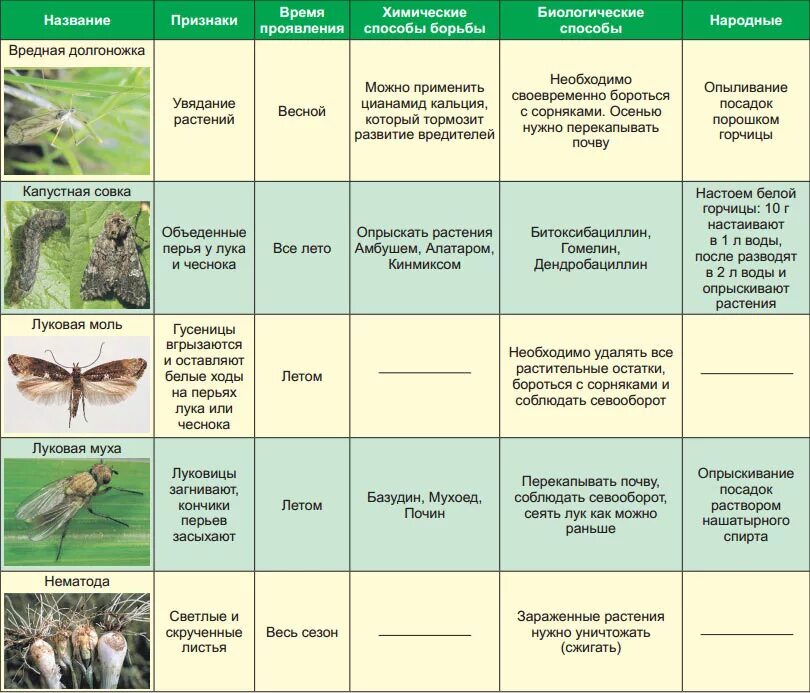 Обработка хвойных от вредителей. Методы борьбы с насекомыми вредителями таблица. Вредители сада и огорода таблица. Насекомые вредители культурных растений таблица. Методы борьбы с вредителями и болезнями растений.