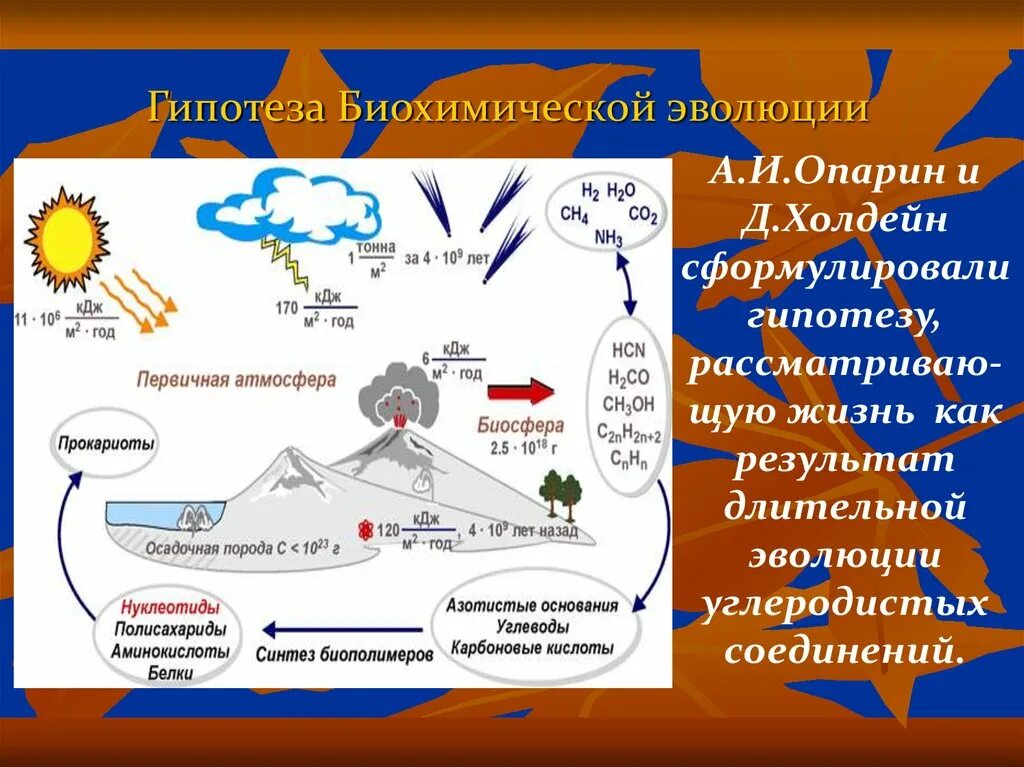 Биохимическая гипотеза опарина холдейна. Этапы биохимической эволюции схема. Опарин теория биохимической эволюции. Биохимическая гипотеза Опарина. Биохимическая Эволюция Опарина.