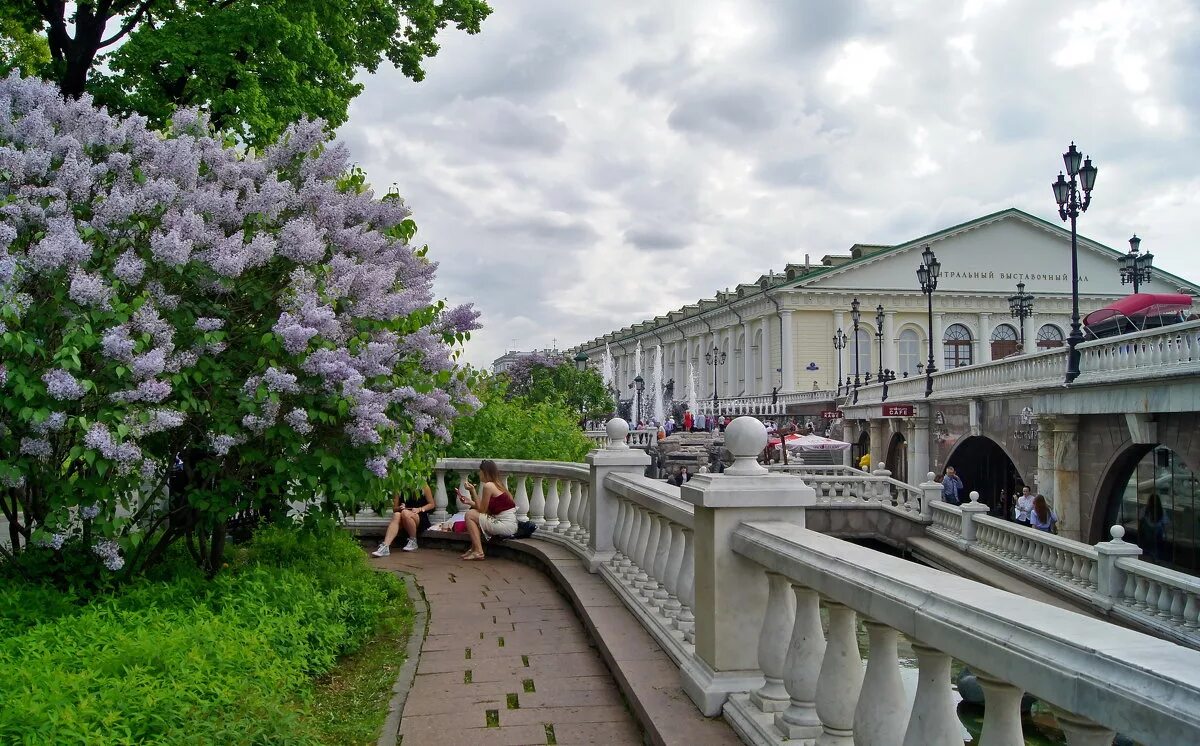 Места для прогулок в москве весной. Москва весной. Прогулка по весенней Москве. Прогулка по Москве весной.