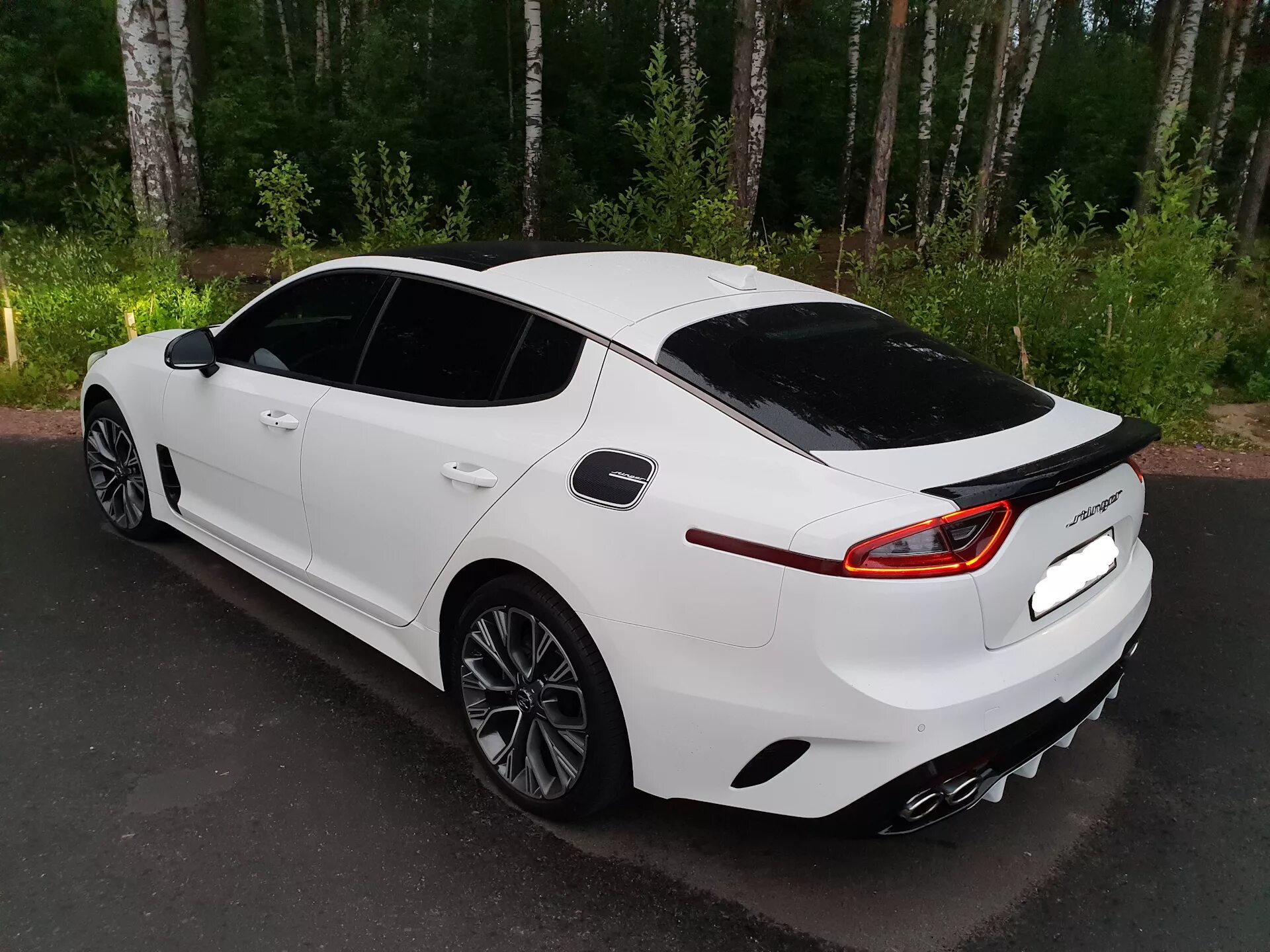 Киа к5 купить авито. Kia k5 gt line 2020. Kia k5 gt line белая. Kia Оптима к5. Kia Optima k5.