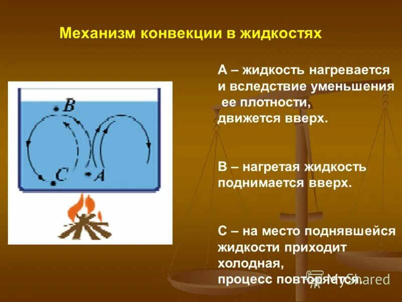 Конвекция жидкости