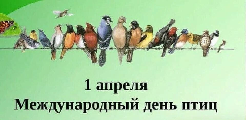 МЕЖДУНАРОДНЫЙ ДЕНЬ ПТИЦ Детский сад с.Смородино Яковлевского городского округа