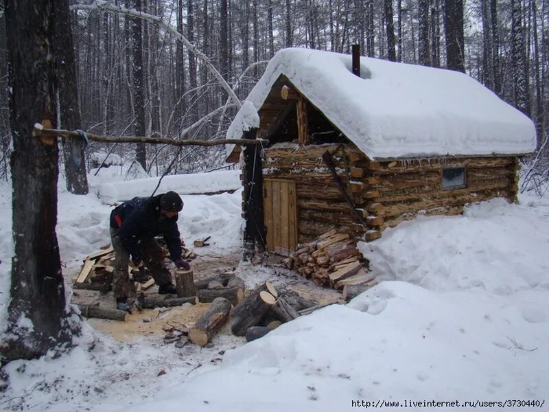 Таежники сибирские охотники. Жизнь в зимовьях в тайге. Жизнь в зимовьях в тайге. Промысловая охота в тайге и жизнь в зимовье. Охотничьи заимки в сибирской тайге.