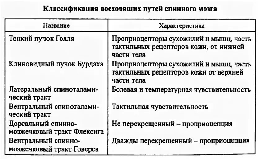 Нисходящие пути спинного. Нисходящие проводящие пути спинного мозга таблица. Основные нисходящие пути спинного мозга. Основные функции проводящих путей спинного мозга таблица. Основные нисходящие проводящие пути спинного мозга.