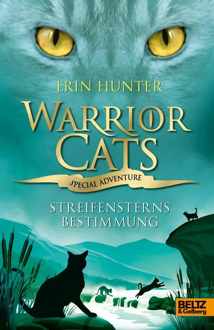 Erin hunter cats warriors. Эрин хантер книги. Том маккиттерик. Обложка warriors. The warriors ps2.