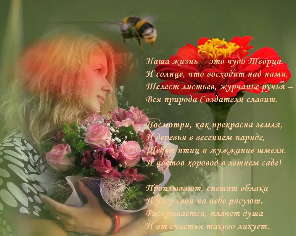 Его любимое чудо читать