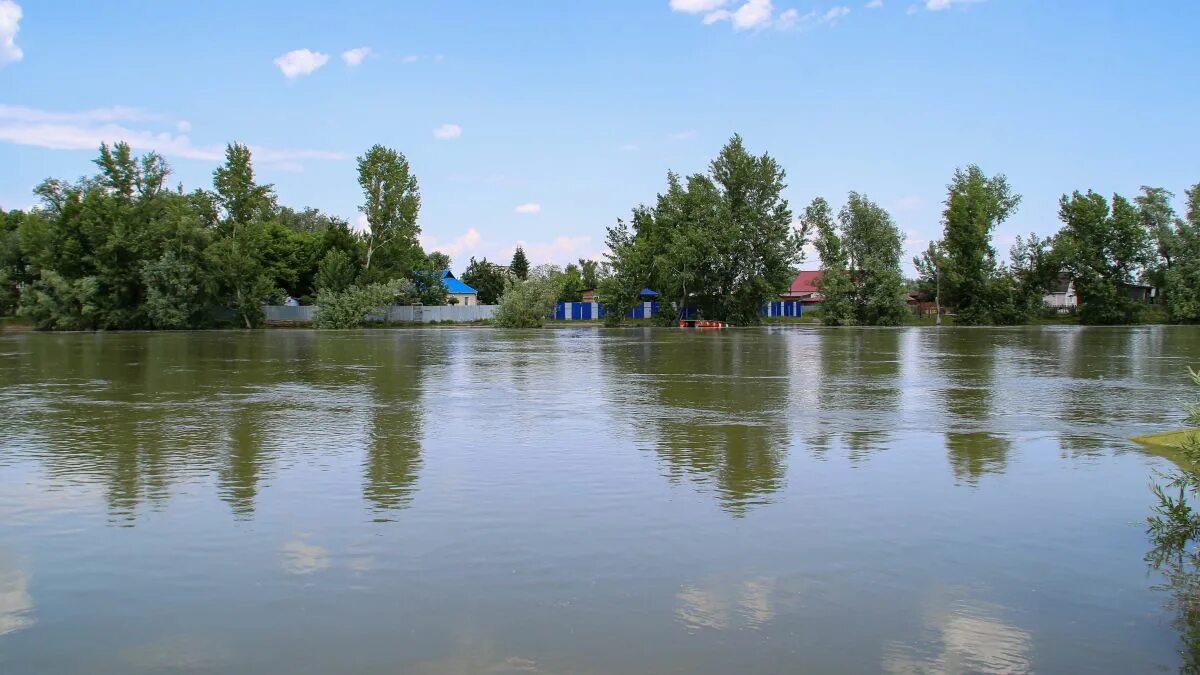 Уровень воды в реке чумыш. Уровень воды в Оби. Затон Алтайский край. Уровень воды в Оби в Барнауле. Река Чумыш Алтайский край.