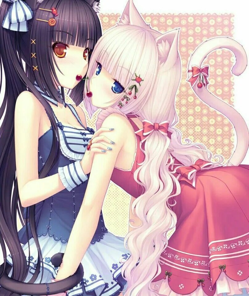 Cat girl cream название. Catgirl cream filling seiga. Элизабет этти неко. Аниме девушка с йогуртом. Неко чан.