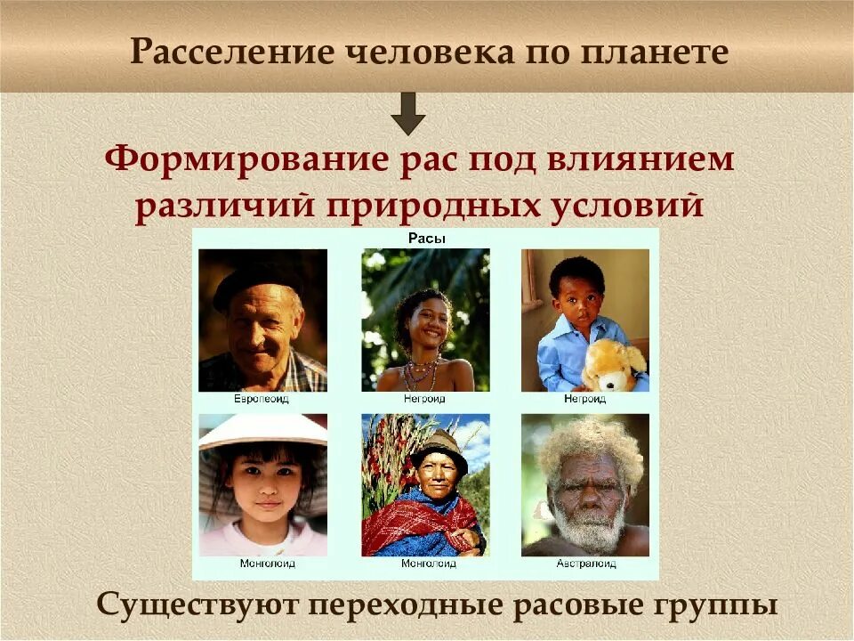 Процесс формирования рас. Расы людей. человеческие расы. основные расы человечества. формирование человеческих рас.