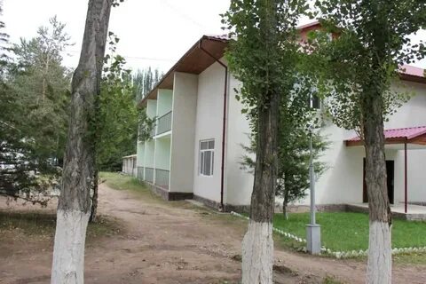 Алтын куль