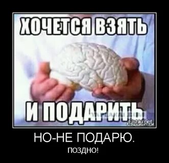 Взяла умом