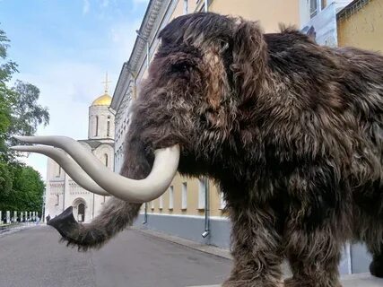 Заскамил мамонта