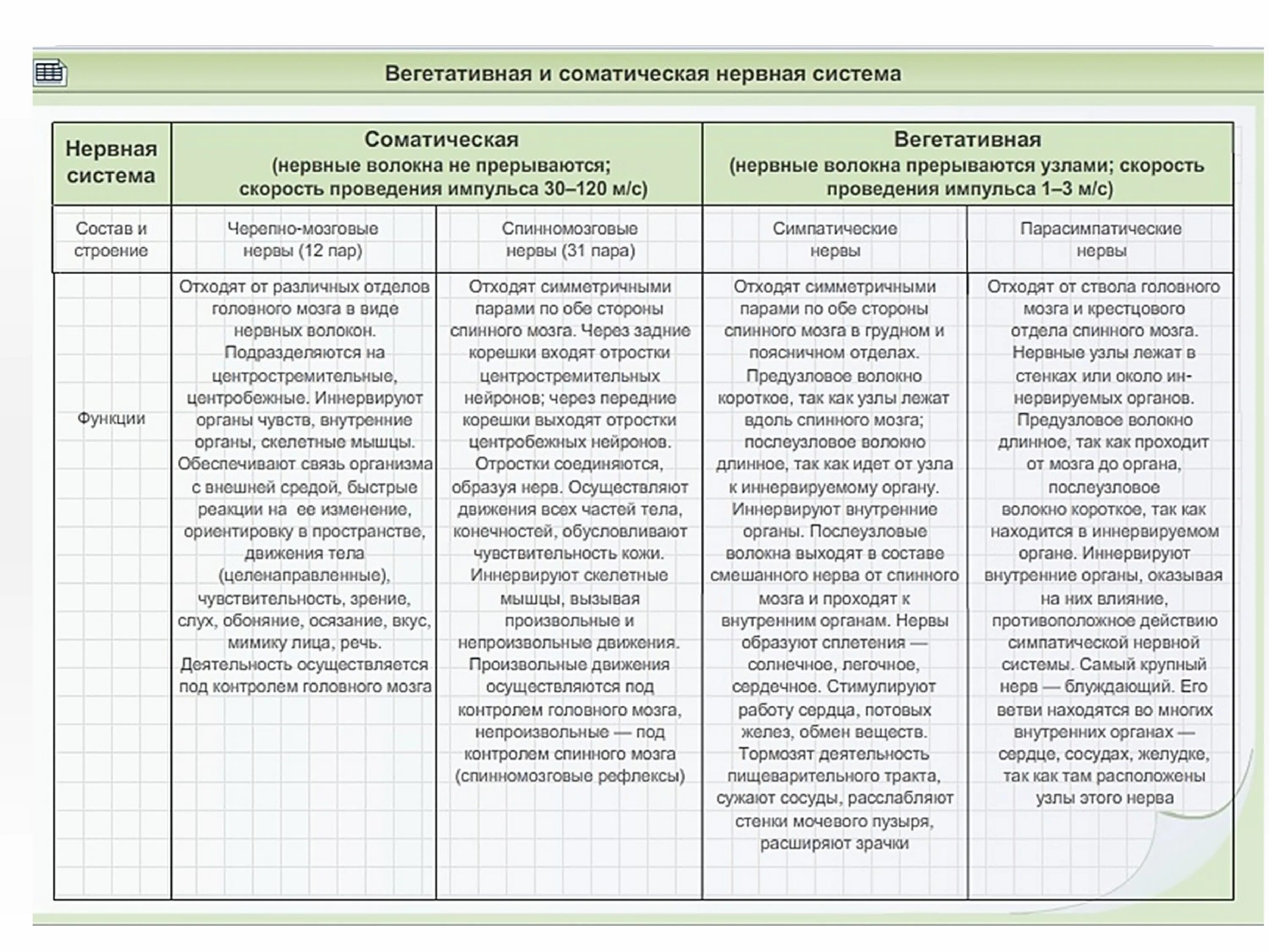 Строение и функции отделов нервной системы таблица. Структура отделов и функции ЦНС таблица. Таблица Центральная нервная система строение и функции. Таблица по биологии 8 класс строение нервной системы. Нервная система строение функции отделов