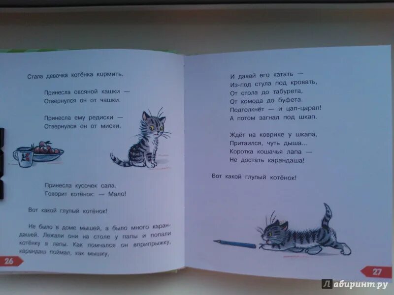 Маршак стала девочка котика кормить