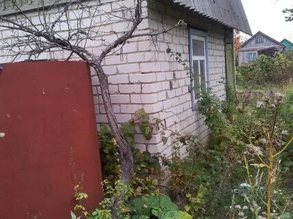 Циан донецк ростовская область