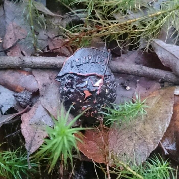 Осколки прошлого фильм с робертом паттинсоном. Отголоски гула. Отголоски гула. Отголоски прошлого гифки. Отголоски войны фильм 2018.