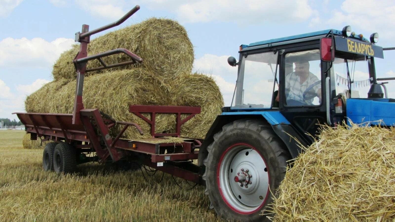 Трактор т-40 ам. Трактор т 40 сенокос. Трактор сено. Трактор с прицепом сено. Трактор мтз на сенокосе.