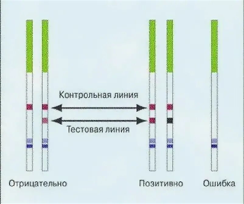 Контрольная линия на тесте. Как правильно использовать тест. Как использовать тест на беременность. Как пользоваться тестом. Как правильно провести тест