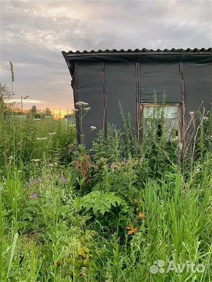 О. , д. Участок киселевск. Участок киселевск. Участок киселевск.