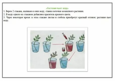 Как правильно принять цветы