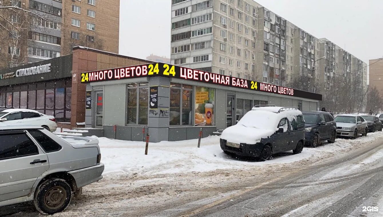Интерьер цветочного магазина. Цветы ногинск. Комсомольская улица 22 реутов. Камелия ногинск. Цветы коломна круглосуточно.