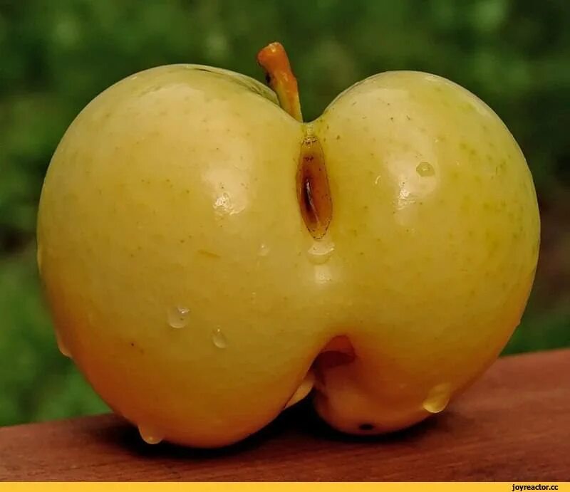 Яблоко фрукт или овощ. Фрукты похожие на задницу. Необычные яблоки. Фрукты похожие на влагалище.