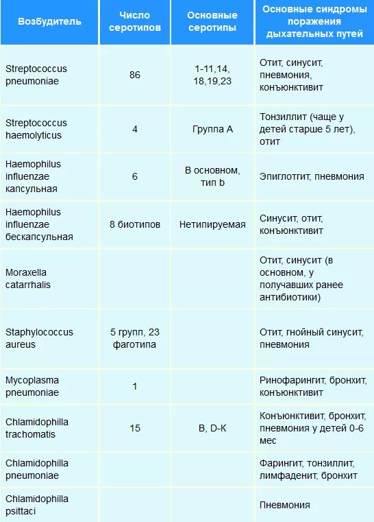 Сравнительная характеристика бактерий и вирусов таблица Болезни бактерий таблица