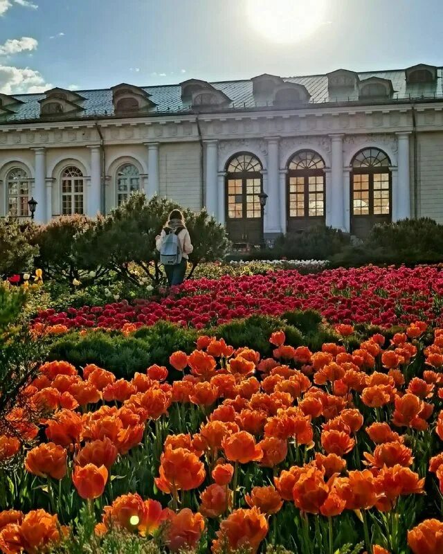 александрийский сад в москве. сады москвы 2023. александровский сад москва. сады москвы 2023. сады москвы 2023.