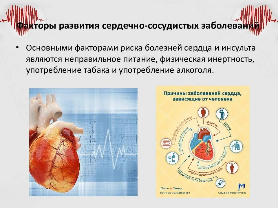 Заболевания сердечной системы. Заболевания сердечно-сосудистой системы. Заболевания сердца сосудистой системы. Развития сердечно-сосудистых заболеваний. Причины сердечно-сосудистых заболеваний.