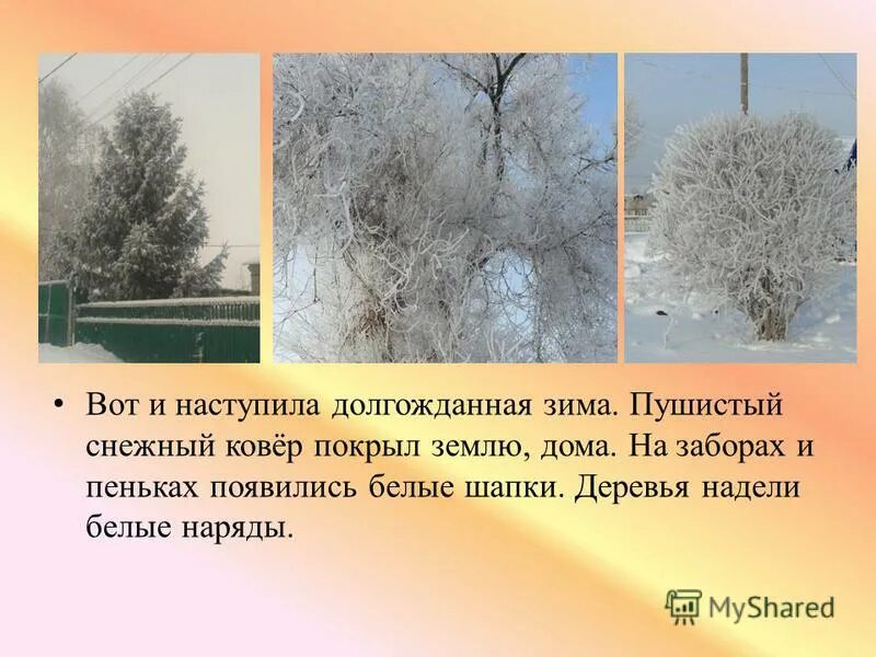 деревья одетые в нарядный убор. одеваем деревья. деревья надели разноцветный наряд. деревья одетые в нарядный убор. марийский женский головной убор шымакш.