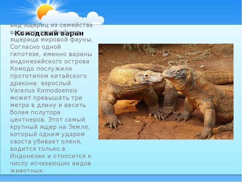 Комодский варан из красной книги. Комодский варан. Сообщение о комодском варане 4 класс. Сообщение о комодском варане. Проект варан.