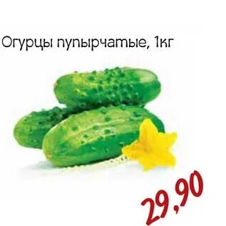 бочковые огурцы в монетке. огурцы монетка. акция на огурцы. правильное решение огурцы маринованные. огурцы соленые монетка.