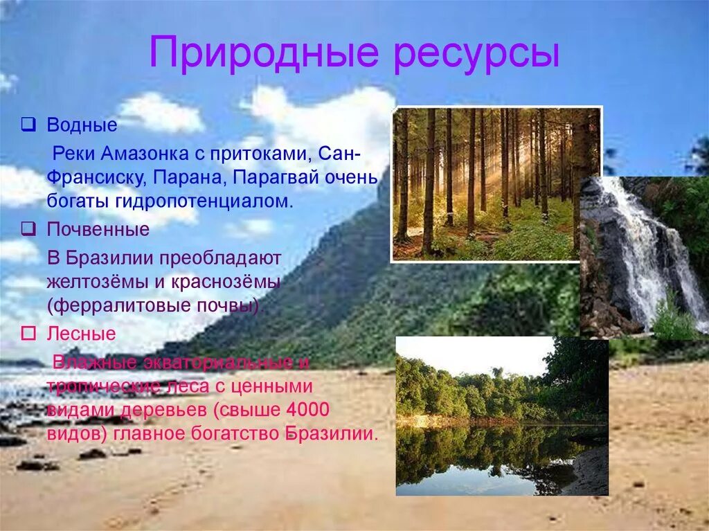 Запасы лесных ресурсов Бразилии. Характеристика природных ресурсов Бразилии. Лесные ресурсы Бразилии. Пирожные ресурсы Бразилии. Природный потенциал бразилии