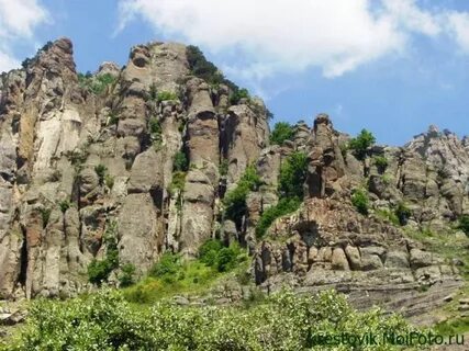 Бесплатная скала