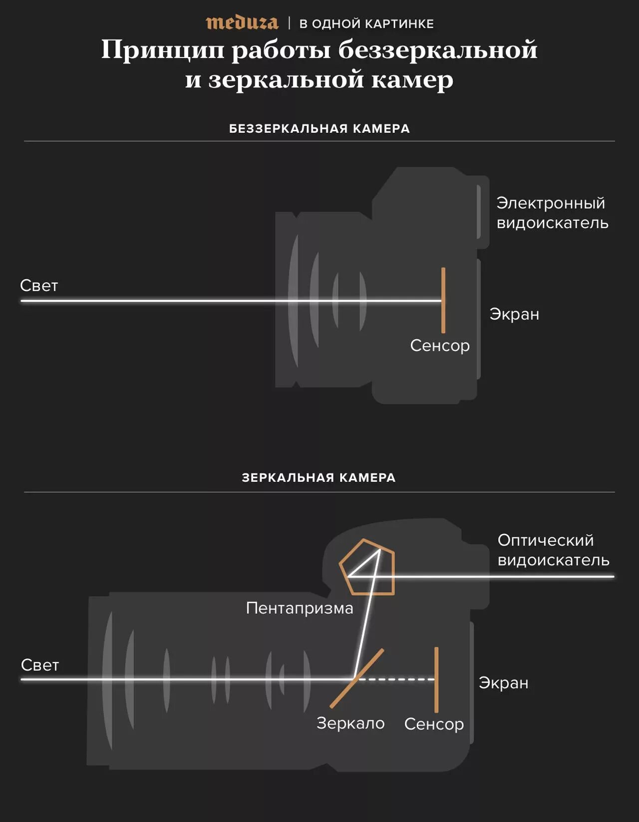 зеркальный и беззеркальный фотоаппарат отличия. беззеркальные отличие от зеркальных.