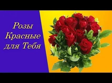 Что за розы ты же это