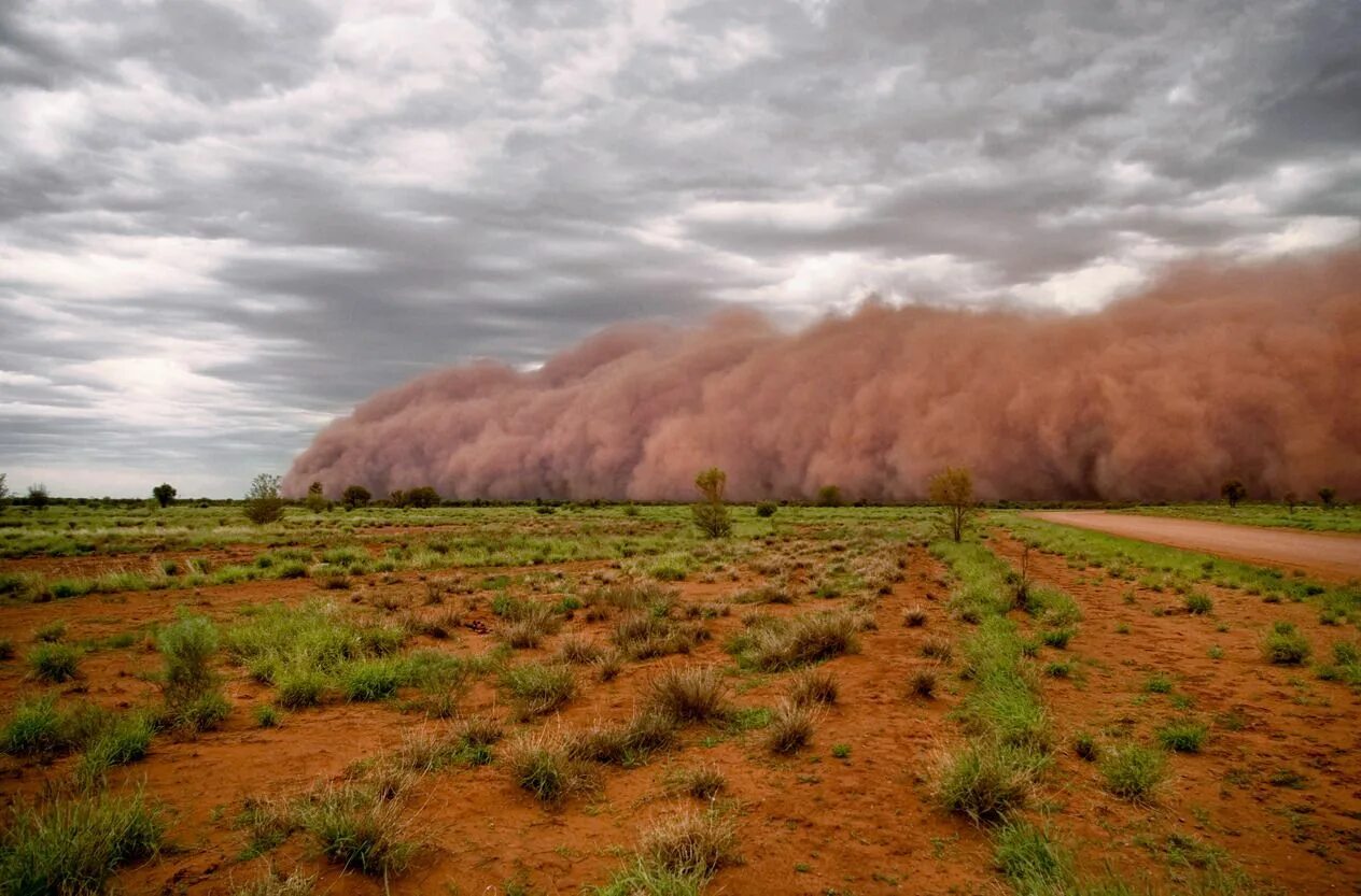 Засушливость климата Австралии. Австралийский климат. Погодные условия Австралии. Природа и климат Австралии.