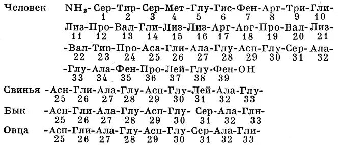 Адренокортикотропный гормон формула. Адренокортикотропный гормон химическая формула. Кортикотропин химическое строение. Химическое строение адренокортикотропного гормона. Ала гис фен