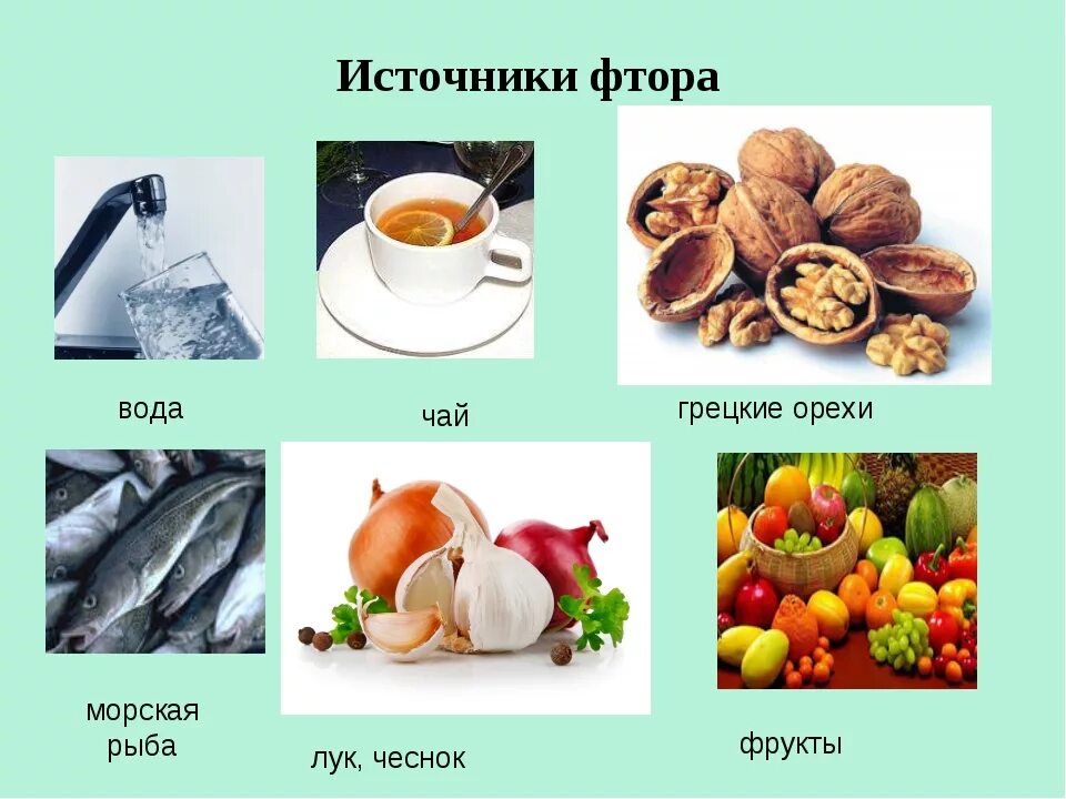 Продукты с фтором. Основные источники фтора в продуктах. Продукты которые содержат фтор. Фьор в каких продуктах содержится. В каких продуктах содержится фтор.