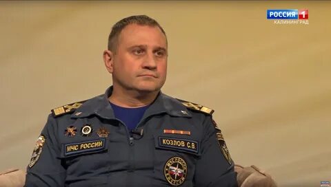 Главный государственный инспектор